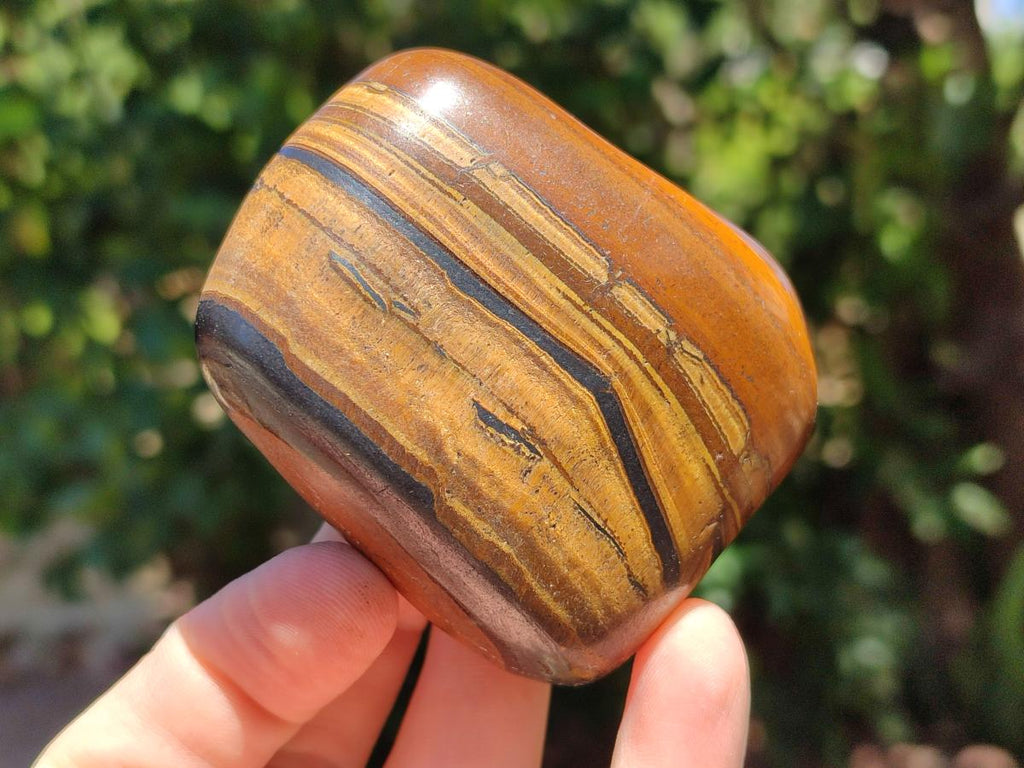 Polished Jumbo Golden Tigers Eye with Banded Iron Stone Free Forms x 3 From Prieska, South Africa - Toprock Gemstones and Minerals 