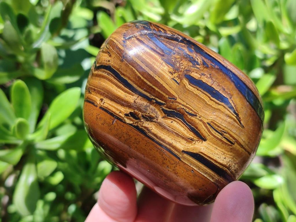 Polished Jumbo Golden Tigers Eye with Banded Iron Stone Free Forms x 3 From Prieska, South Africa - Toprock Gemstones and Minerals 