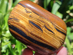 Polished Jumbo Golden Tigers Eye with Banded Iron Stone Free Forms x 3 From Prieska, South Africa - Toprock Gemstones and Minerals 