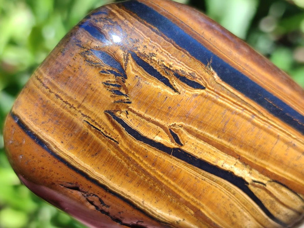 Polished Jumbo Golden Tigers Eye with Banded Iron Stone Free Forms x 3 From Prieska, South Africa - Toprock Gemstones and Minerals 