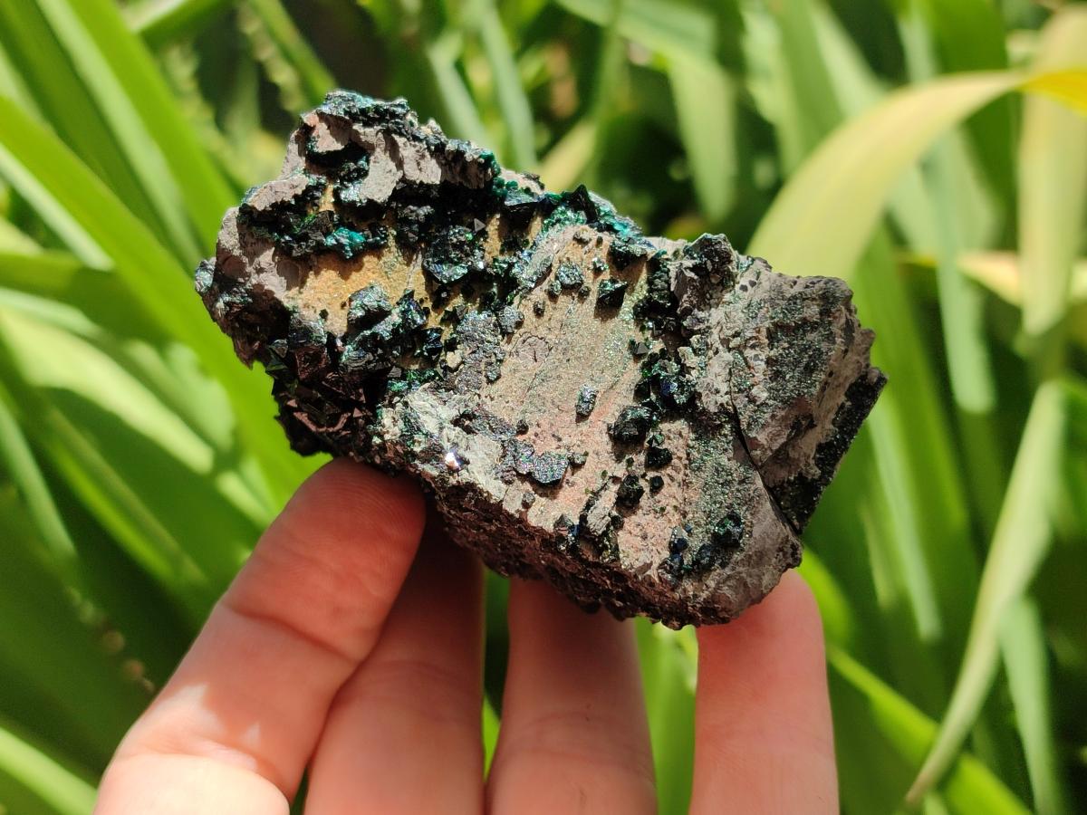 Natural Libethenite Crystals on Dolomite Matrix Specimens x 6 From Shituru, Congo