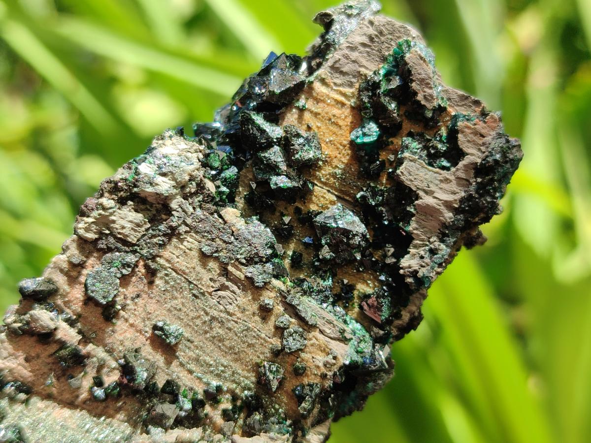 Natural Libethenite Crystals on Dolomite Matrix Specimens x 6 From Shituru, Congo