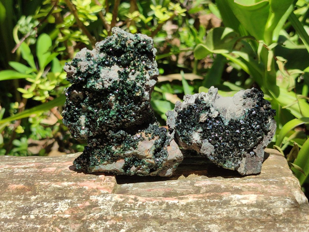 Natural Libethenite Crystals on Dolomite Matrix Specimens x 6 From Shituru, Congo