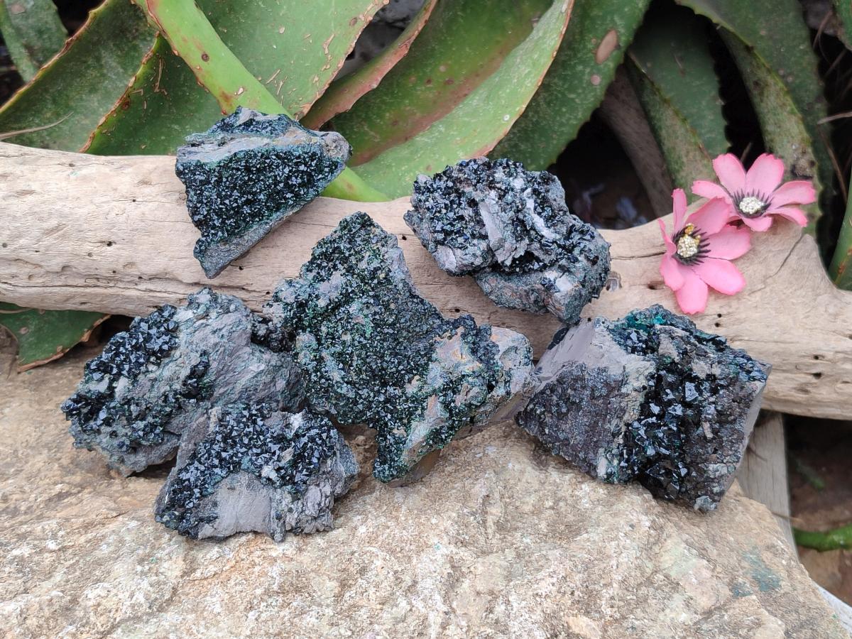 Natural Libethenite Crystals on Dolomite Matrix Specimens x 6 From Shituru, Congo