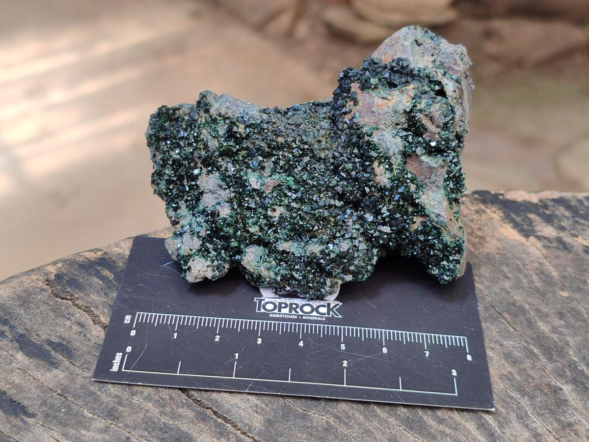 Natural Libethenite Crystals on Dolomite Matrix Specimens x 6 From Shituru, Congo