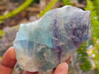 Natural Watermelon Fluorite Cobbed Specimens x 14 From Uis, Namibia