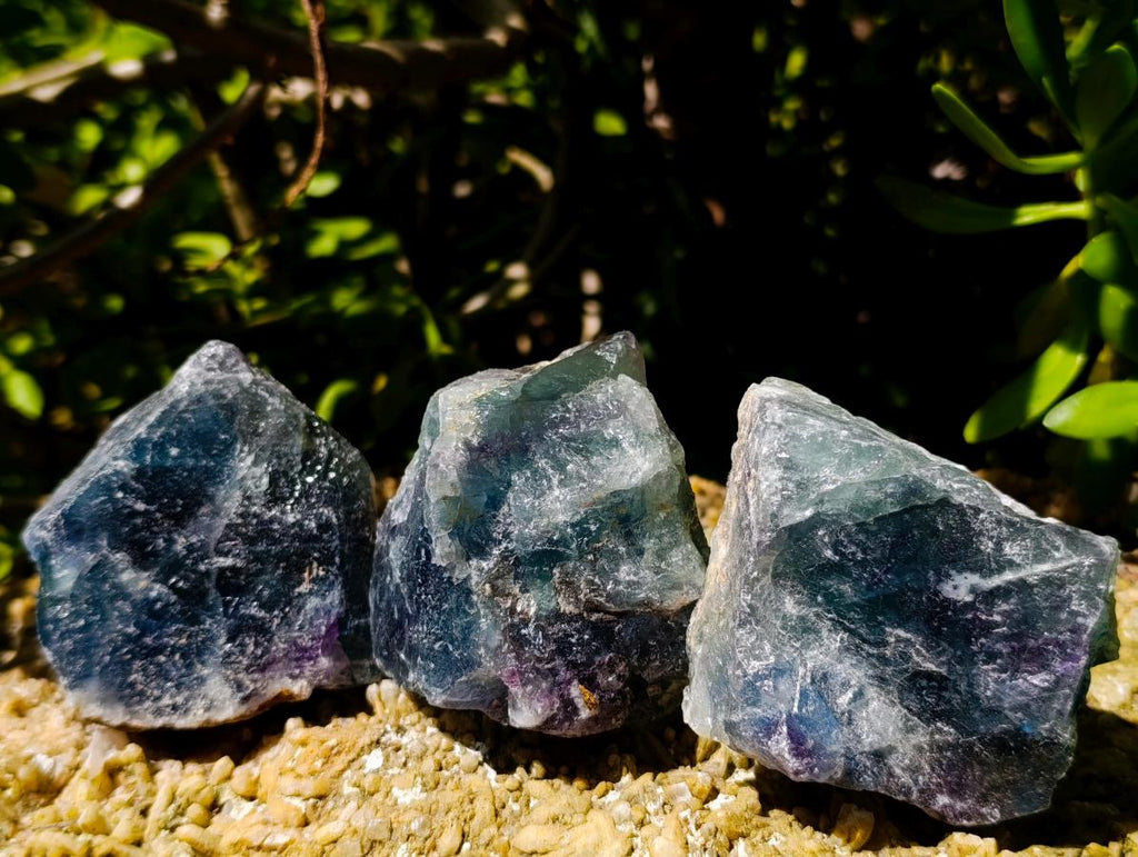 Natural Watermelon Fluorite Cobbed Specimens x 14 From Uis, Namibia