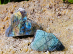 Polished One Side Labradorite Specimens x 28 From Madagascar