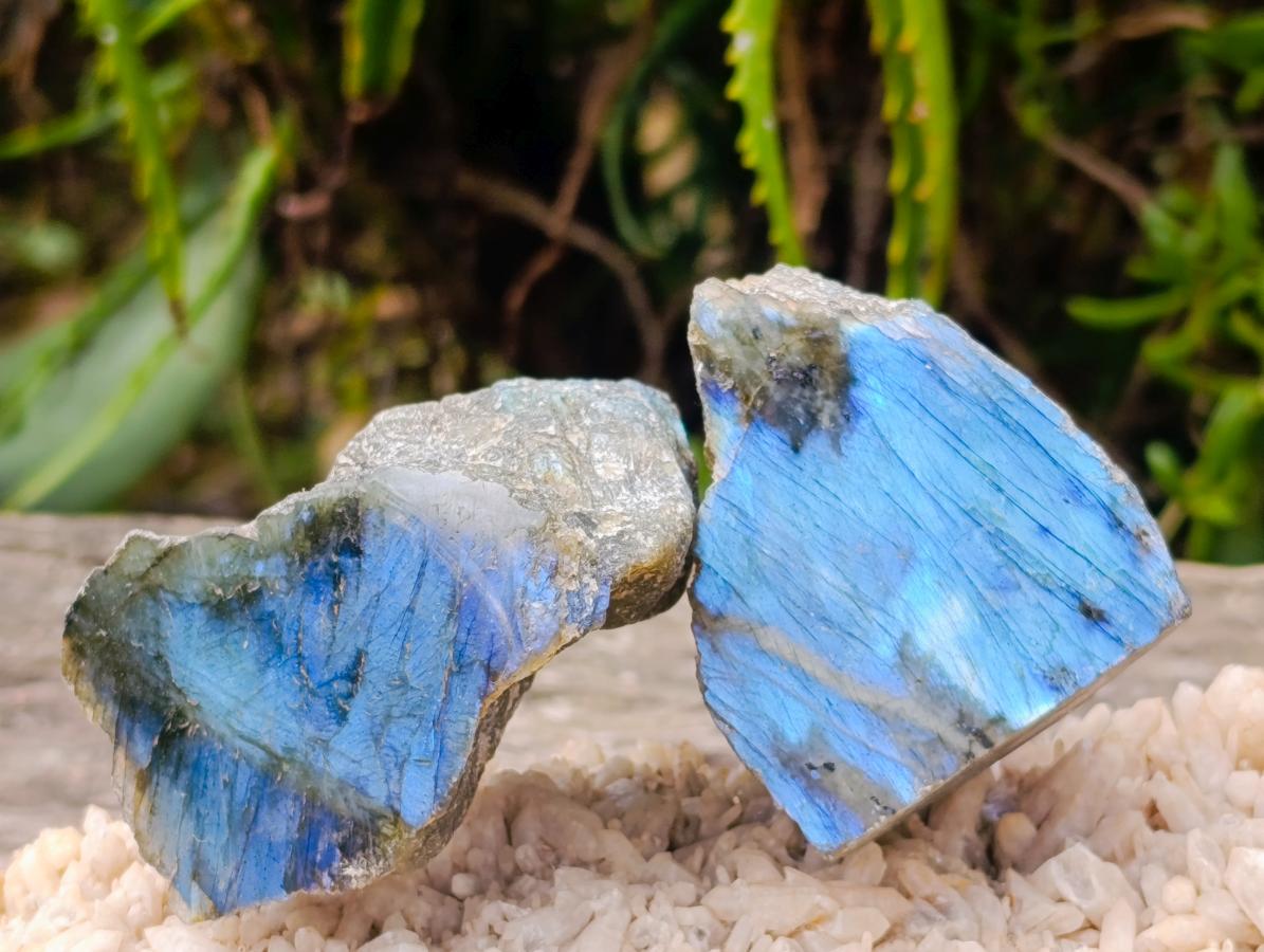 Polished One Side Labradorite Specimens x 28 From Madagascar