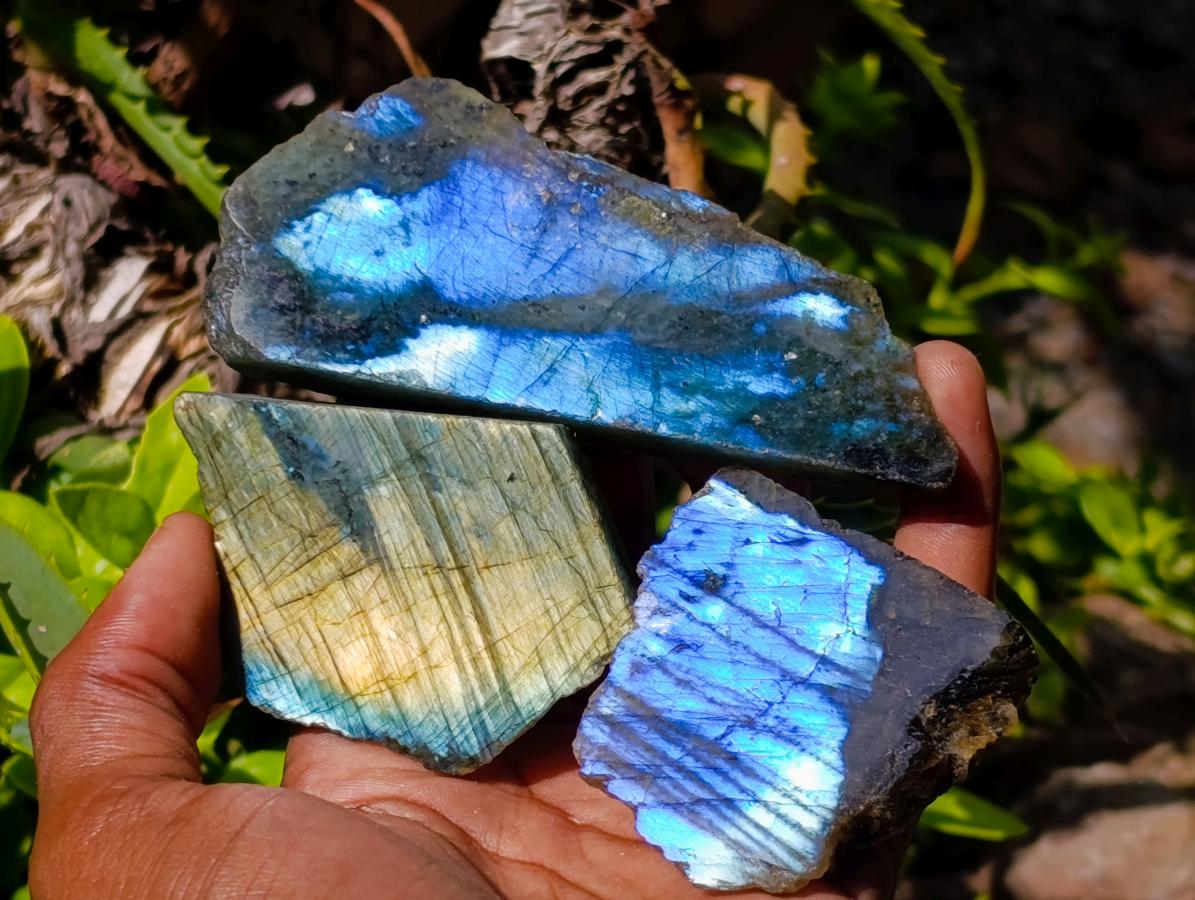 Polished One Side Labradorite Specimens x 28 From Madagascar