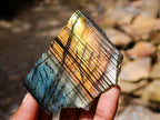 Polished One Side Labradorite Specimens x 28 From Madagascar