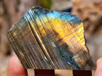Polished One Side Labradorite Specimens x 28 From Madagascar
