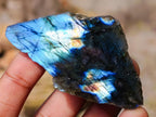 Polished One Side Labradorite Specimens x 28 From Madagascar