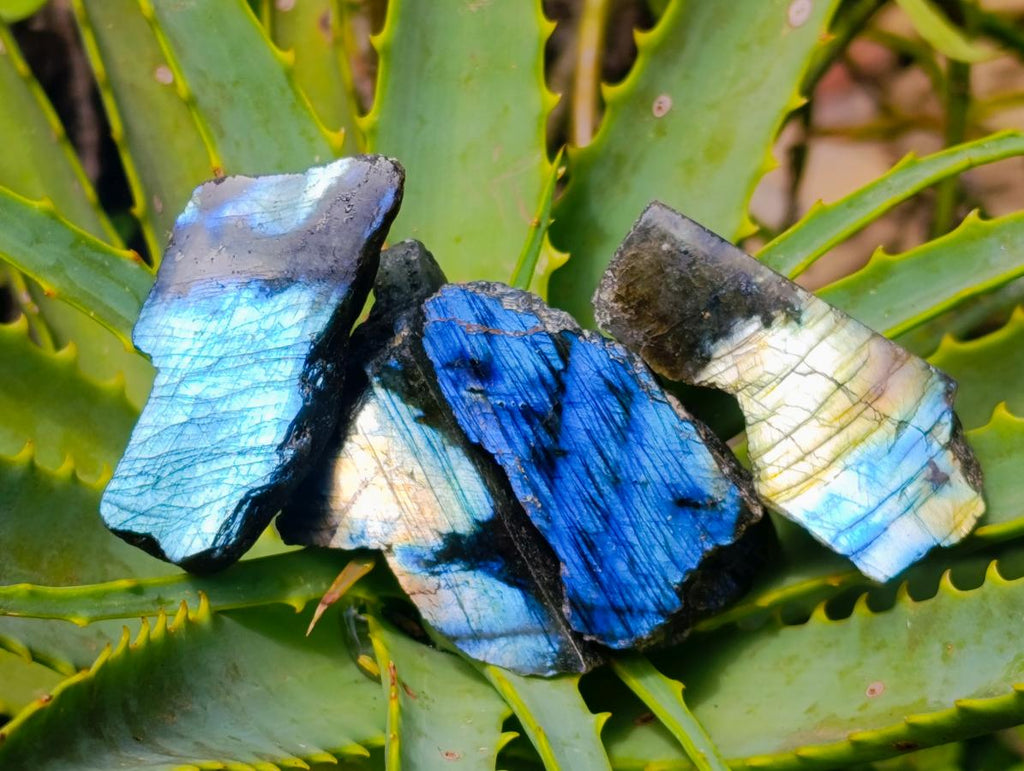 Polished One Side Labradorite Specimens x 28 From Madagascar
