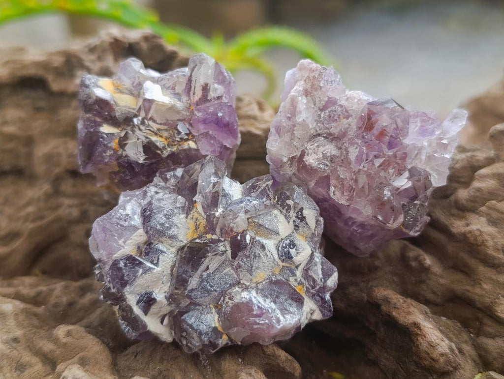 Natural Rare Amethyst Asylum Quartz Clusters x 35 From Luena, Congo