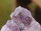 Natural Rare Amethyst Asylum Quartz Clusters x 35 From Luena, Congo