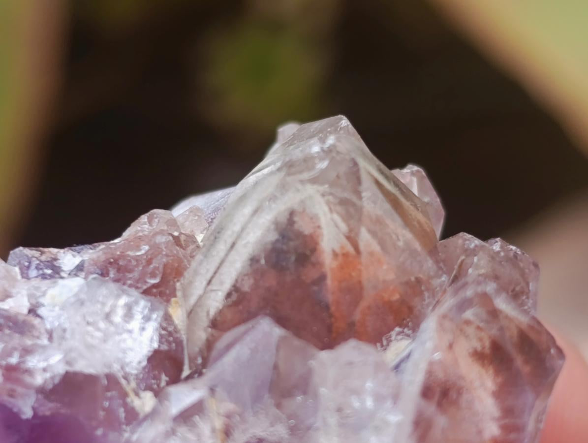 Natural Rare Amethyst Asylum Quartz Clusters x 35 From Luena, Congo