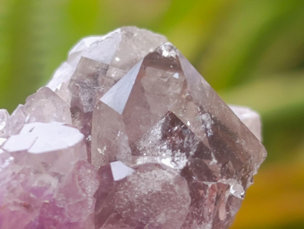 Natural Rare Amethyst Asylum Quartz Clusters x 35 From Luena, Congo