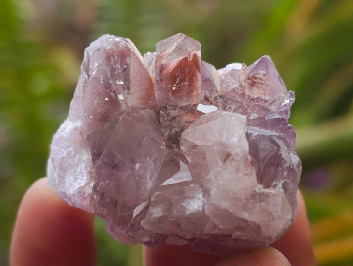 Natural Rare Amethyst Asylum Quartz Clusters x 35 From Luena, Congo