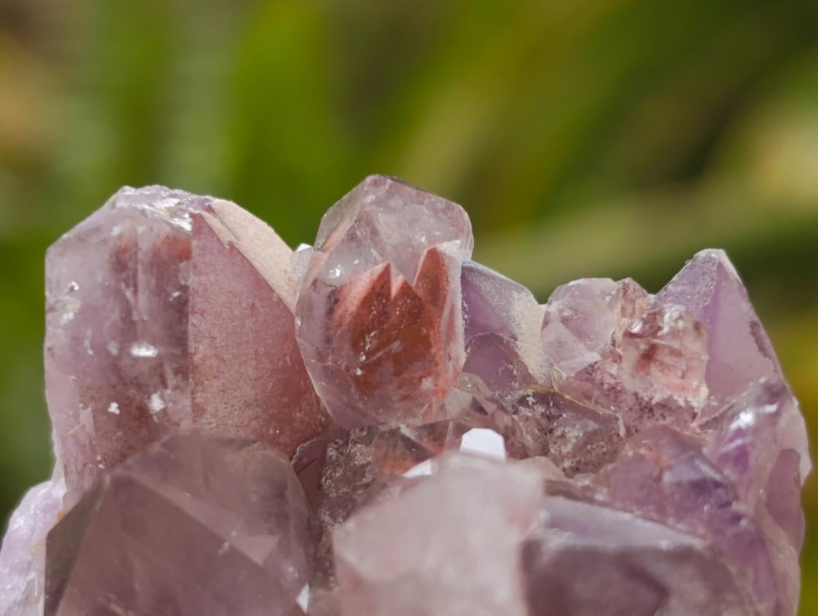 Natural Rare Amethyst Asylum Quartz Clusters x 35 From Luena, Congo