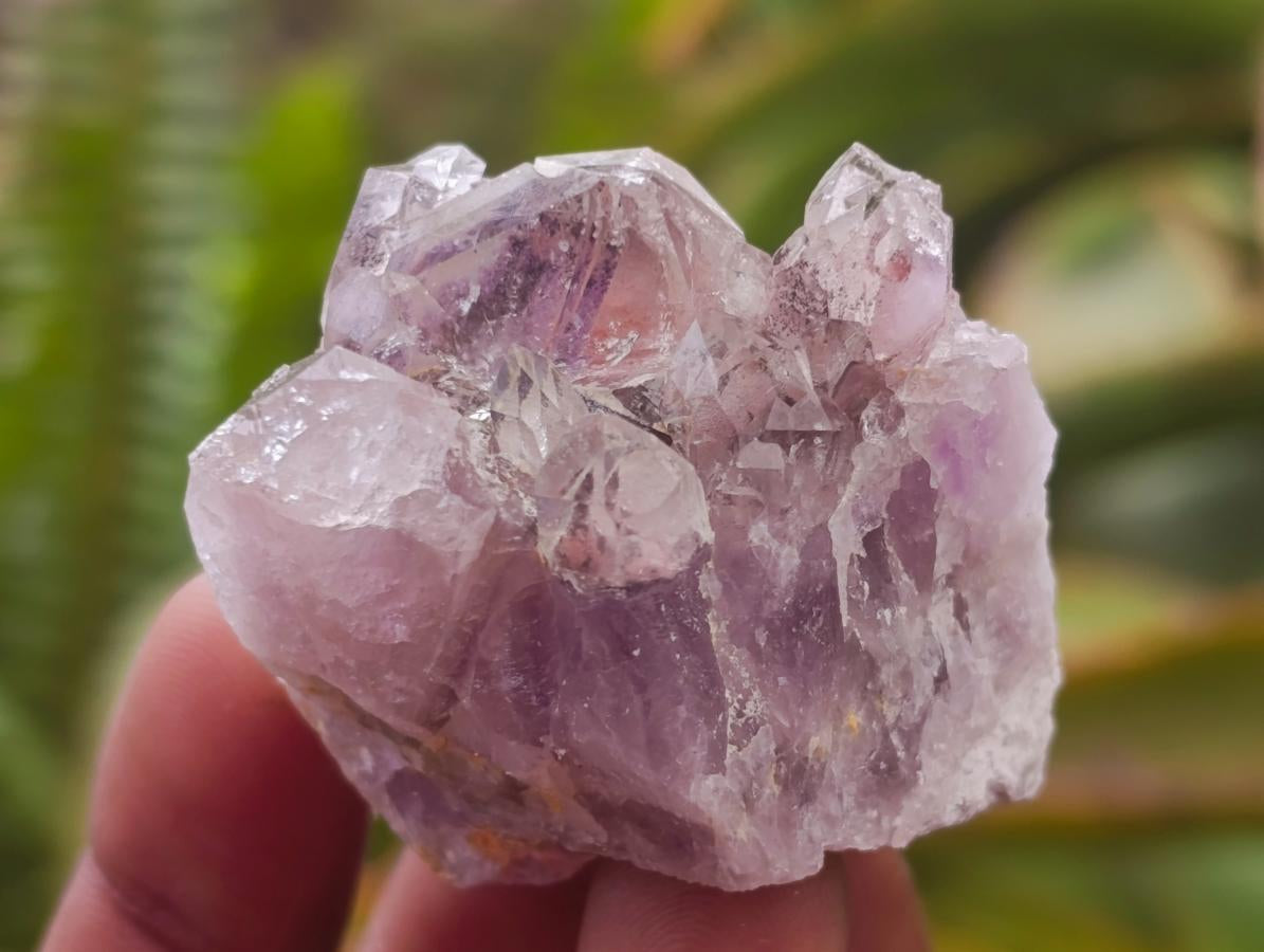 Natural Rare Amethyst Asylum Quartz Clusters x 35 From Luena, Congo