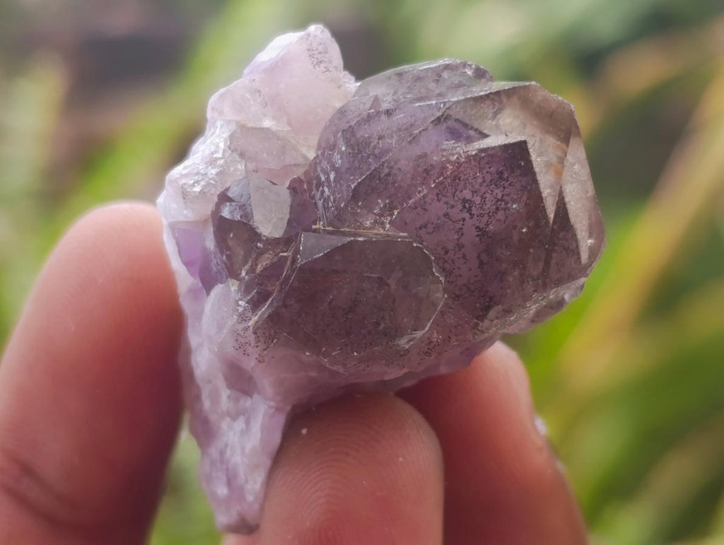 Natural Rare Amethyst Asylum Quartz Clusters x 35 From Luena, Congo