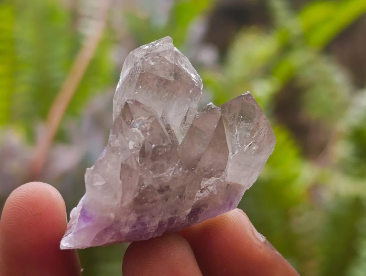 Natural Rare Amethyst Asylum Quartz Clusters x 35 From Luena, Congo