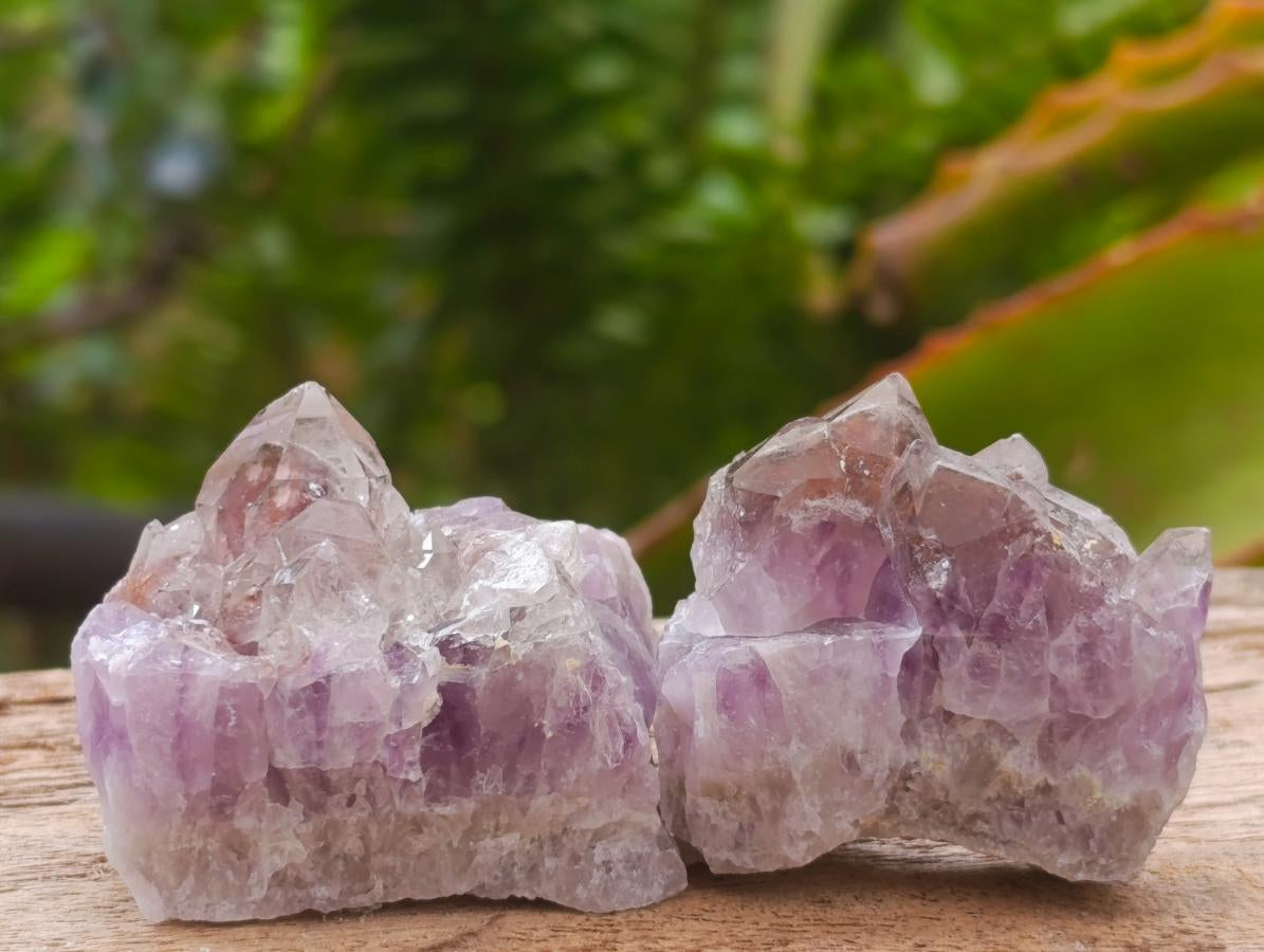 Natural Rare Amethyst Asylum Quartz Clusters x 35 From Luena, Congo