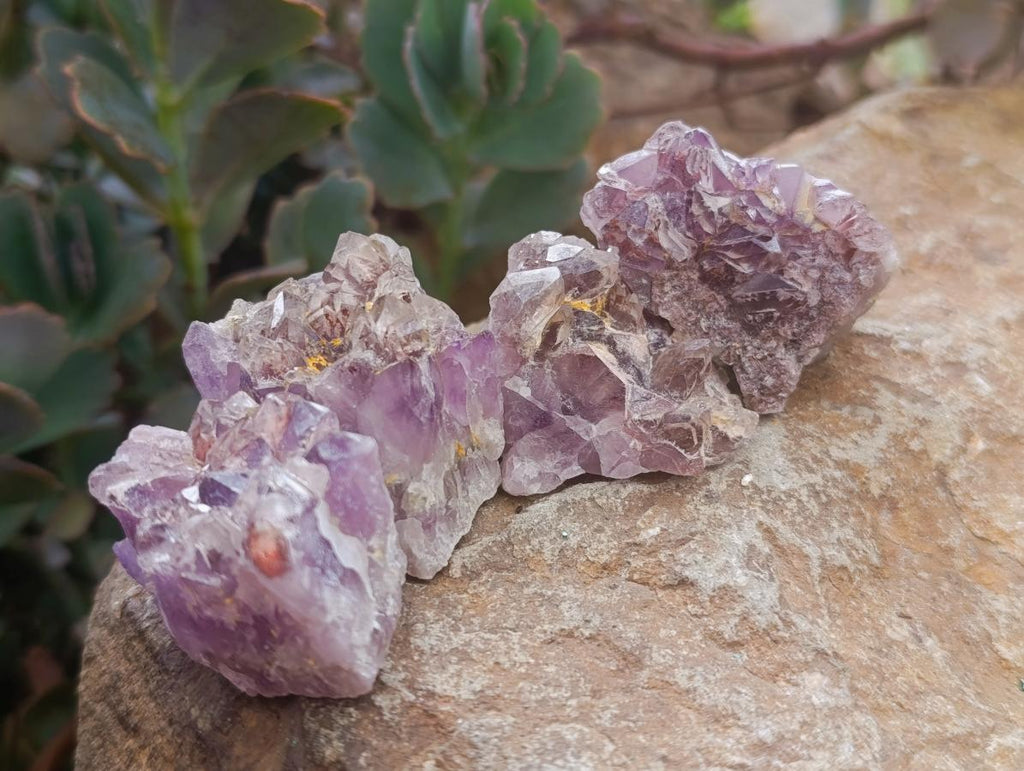 Natural Rare Amethyst Asylum Quartz Clusters x 35 From Luena, Congo