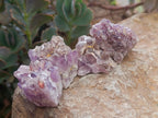 Natural Rare Amethyst Asylum Quartz Clusters x 35 From Luena, Congo