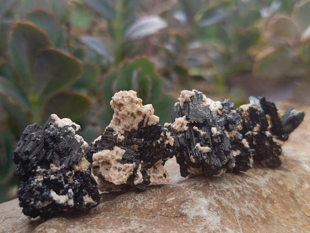 Natural Schorl Black Tourmaline with Vermiculite x 70 From Erongo, Namibia