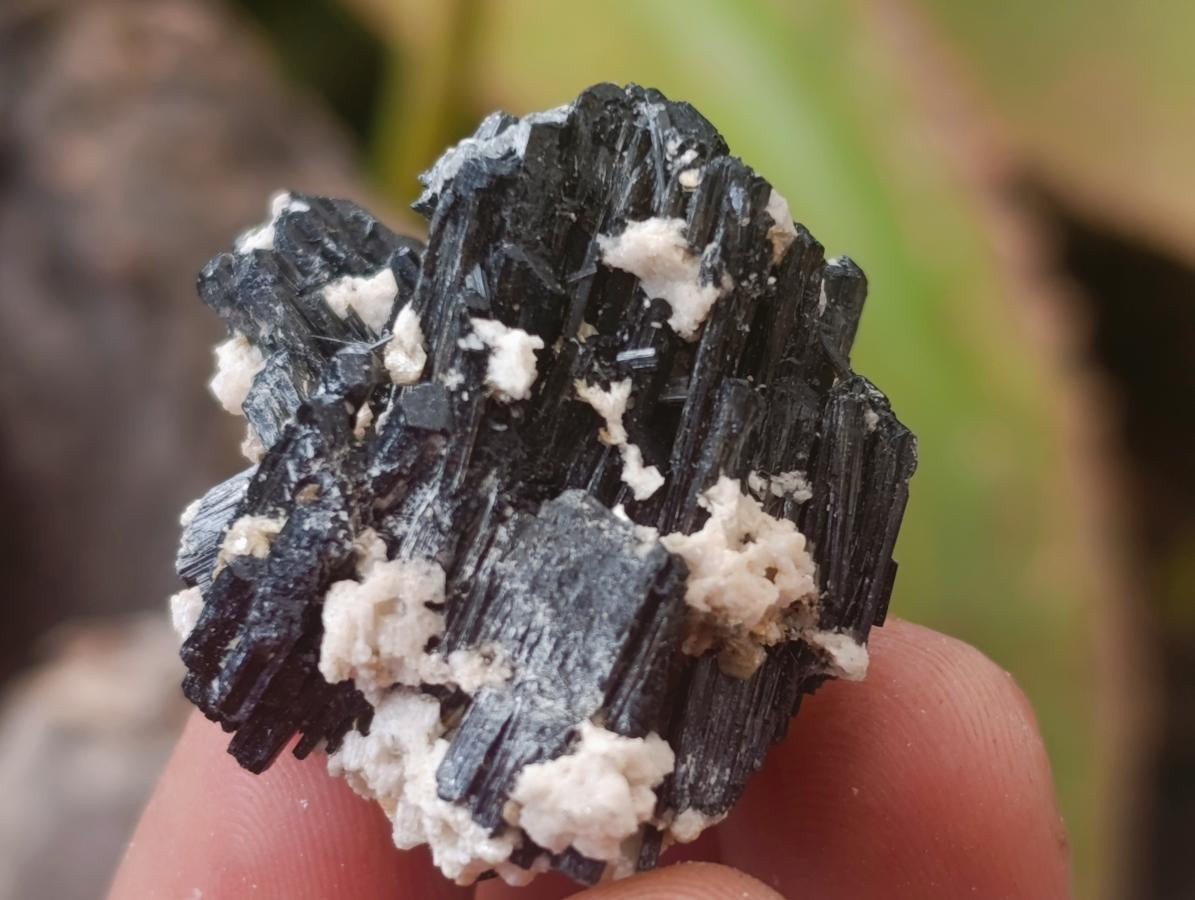 Natural Schorl Black Tourmaline with Vermiculite x 70 From Erongo, Namibia