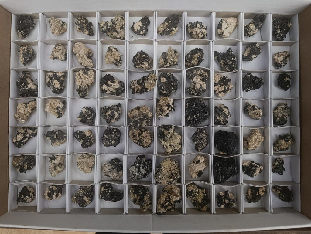 Natural Schorl Black Tourmaline with Vermiculite x 70 From Erongo, Namibia