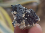 Natural Schorl Black Tourmaline with Vermiculite x 70 From Erongo, Namibia