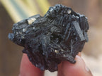 Natural Schorl Black Tourmaline with Vermiculite x 70 From Erongo, Namibia