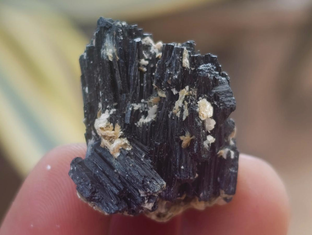 Natural Schorl Black Tourmaline with Vermiculite x 70 From Erongo, Namibia