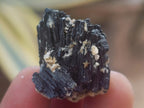 Natural Schorl Black Tourmaline with Vermiculite x 70 From Erongo, Namibia