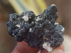 Natural Schorl Black Tourmaline with Vermiculite x 70 From Erongo, Namibia