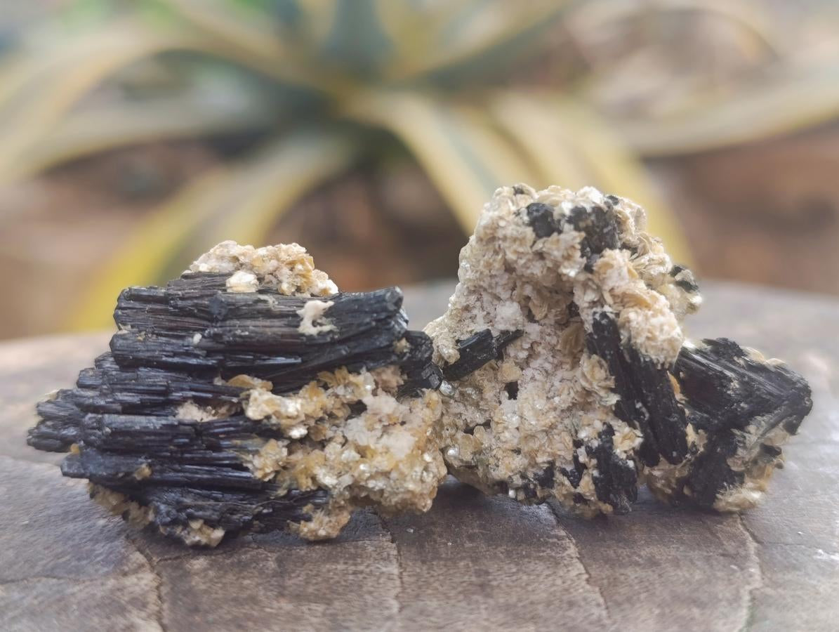 Natural Schorl Black Tourmaline with Vermiculite x 70 From Erongo, Namibia