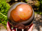 Polished Polychrome Jasper Spheres x 2 From NW Coast, Madagascar