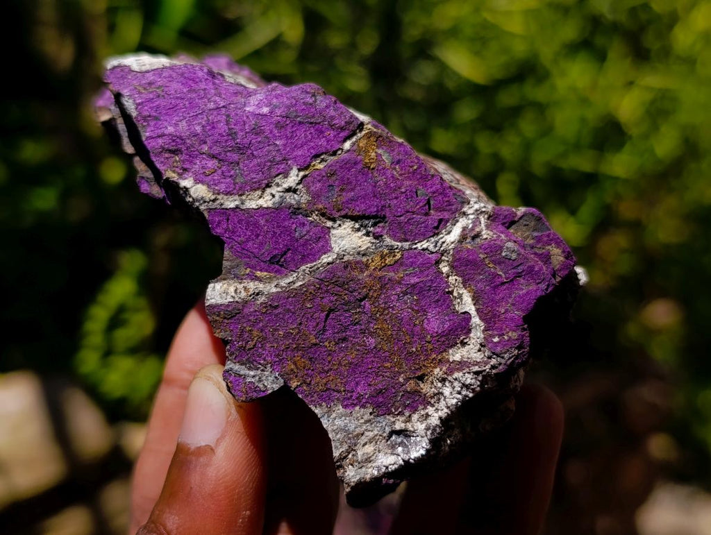 Natural Metallic Cobbed Purpurite Specimens x 6 From Erongo, Namibia