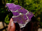 Natural Metallic Cobbed Purpurite Specimens x 6 From Erongo, Namibia