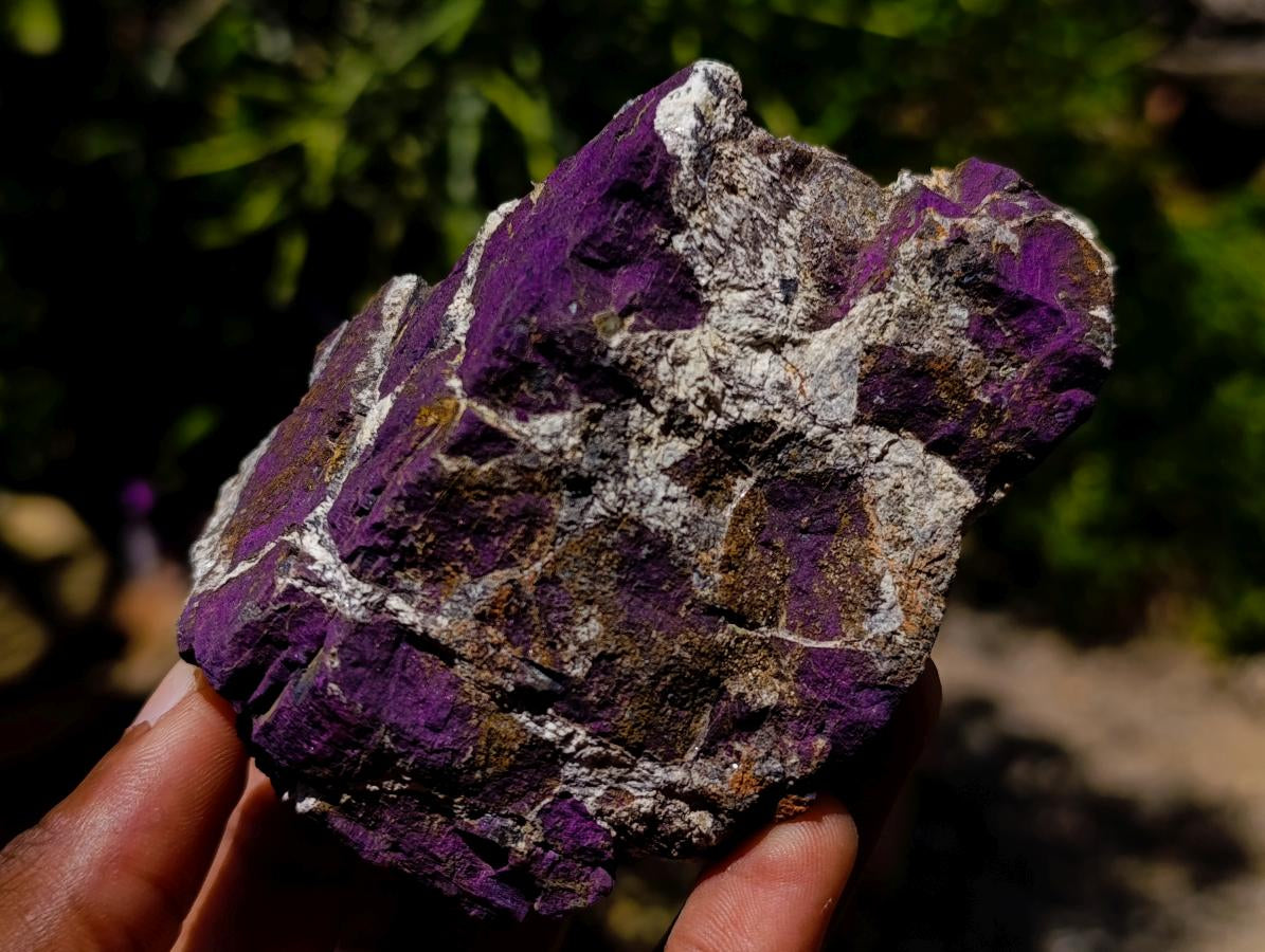 Natural Metallic Cobbed Purpurite Specimens x 6 From Erongo, Namibia