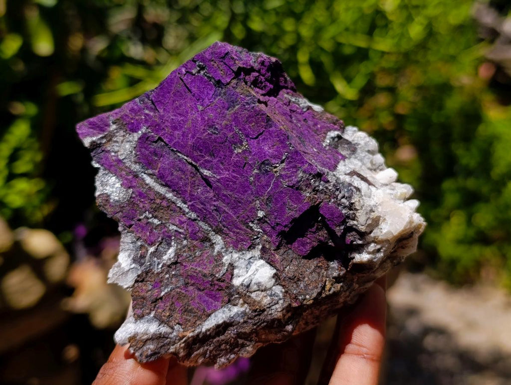 Natural Metallic Cobbed Purpurite Specimens x 6 From Erongo, Namibia