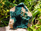 Natural Large Cabinet Crystalline Malachite Specimen x 1 From Tenke Fungurume, Congo