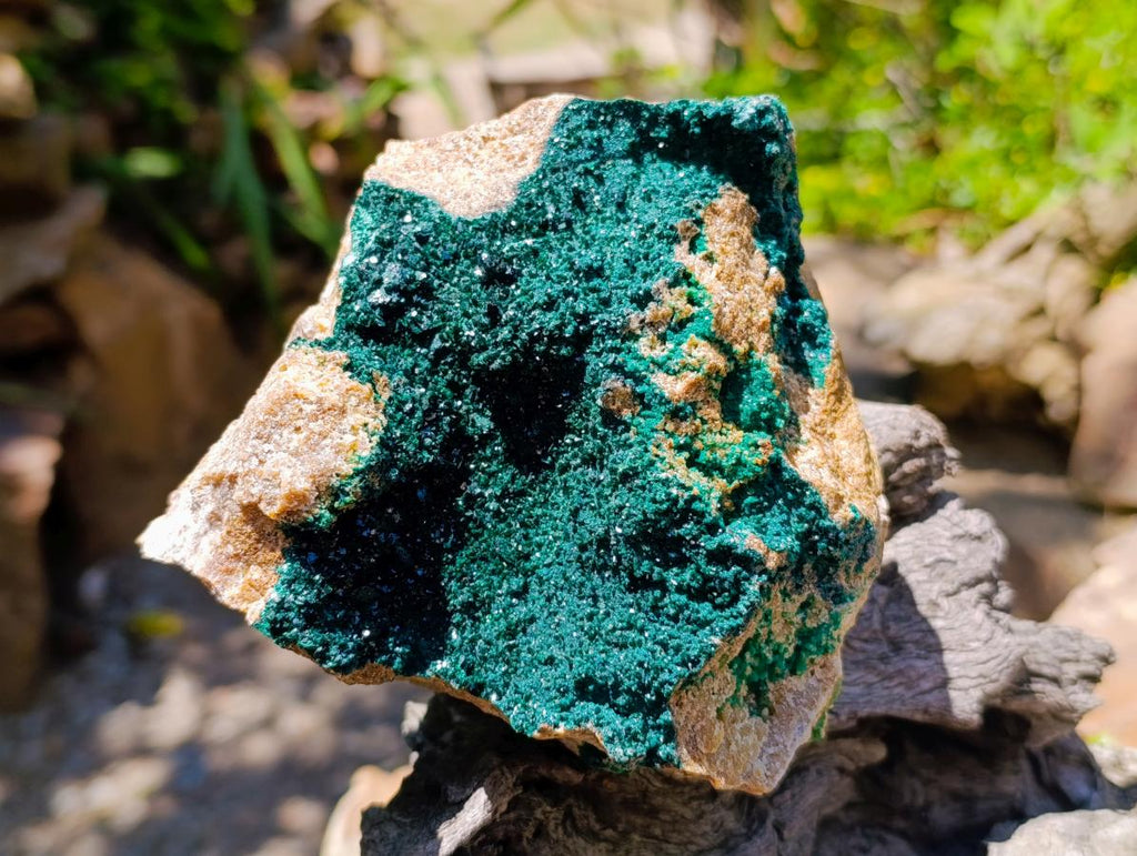 Natural Large Cabinet Crystalline Malachite Specimen x 1 From Tenke Fungurume, Congo