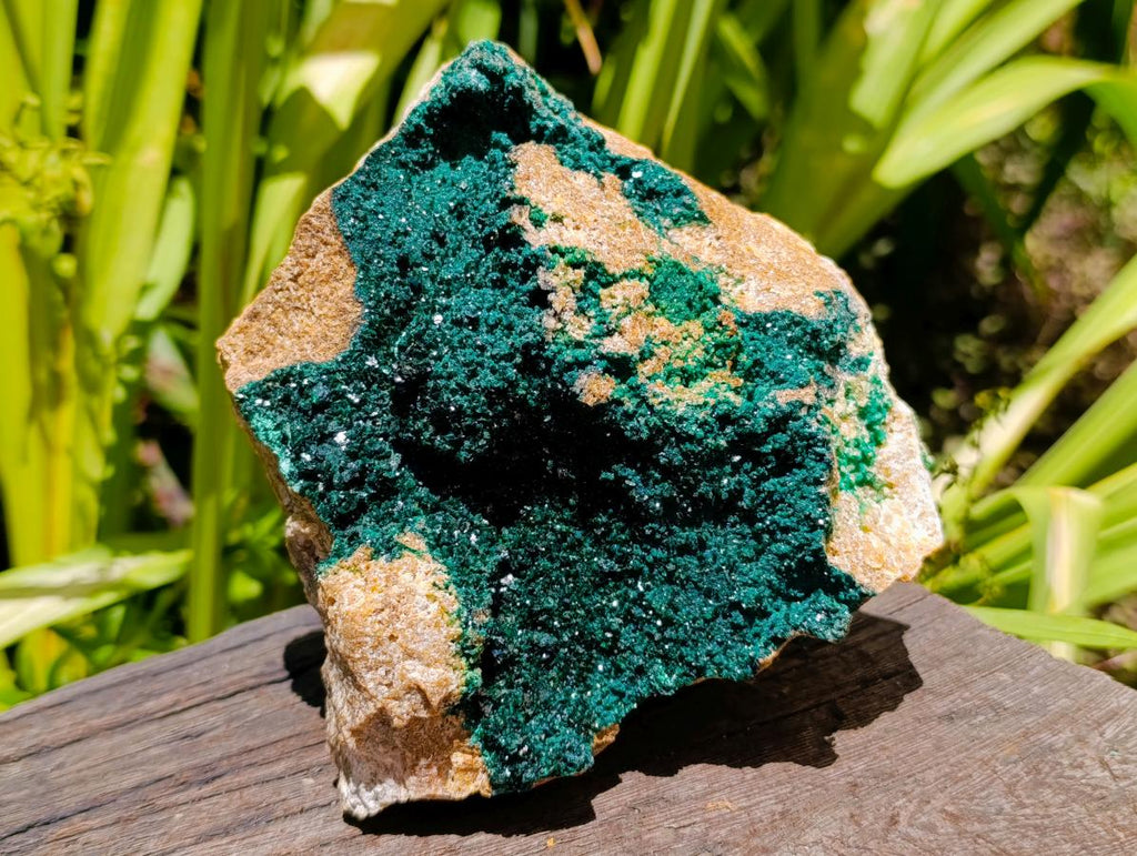 Natural Large Cabinet Crystalline Malachite Specimen x 1 From Tenke Fungurume, Congo