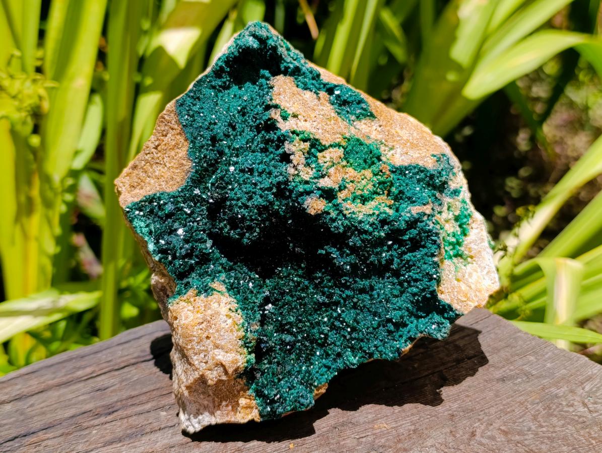 Natural Large Cabinet Crystalline Malachite Specimen x 1 From Tenke Fungurume, Congo