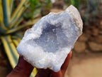 Natural Blue Lace Agate Geode Specimens x 12 From Nsanje, Malawi