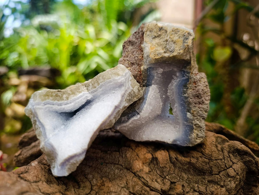 Natural Blue Lace Agate Geode Specimens x 12 From Nsanje, Malawi